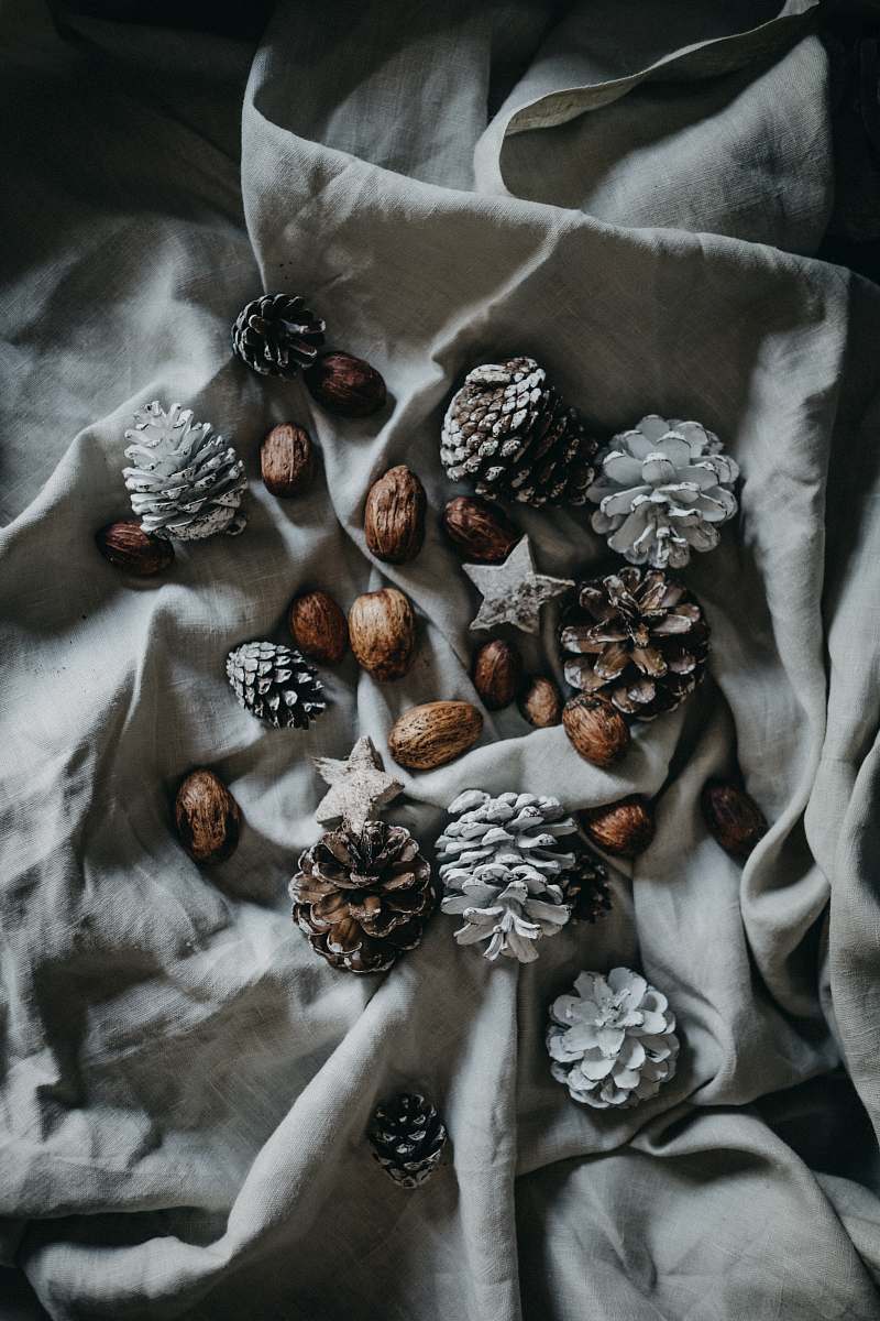 Explore the warmth of nature with this beautifully arranged scene featuring pine cones and a nut resting atop a soft blanket. This charming setup is perfect for capturing the essence of outdoor autumn vibes, ideal for seasonal decoration inspiration, rustic themes, or holiday gatherings. The texture of the blanket complements the natural elements, making it a versatile image for blogs, social media, and marketing materials focused on home decor, nature, or cozy living.